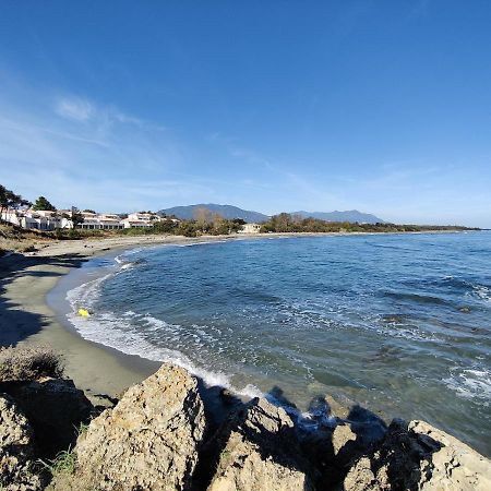 Corse, Residence Marina Di Bravone, Acces Direct Plage Linguizzetta Екстер'єр фото